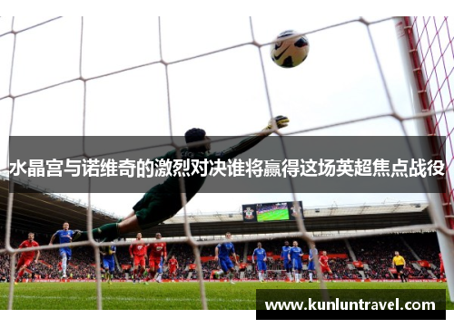 水晶宫与诺维奇的激烈对决谁将赢得这场英超焦点战役